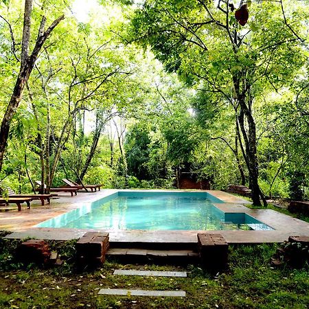 Mahagedara Wellness Retreat Hotel Avudangawa ภายนอก รูปภาพ