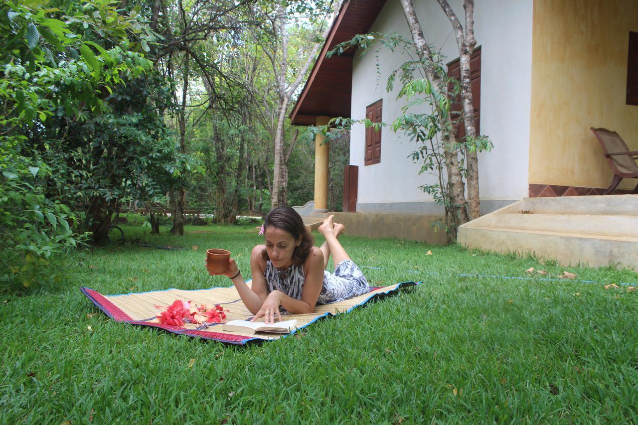 Mahagedara Wellness Retreat Hotel Avudangawa ภายนอก รูปภาพ